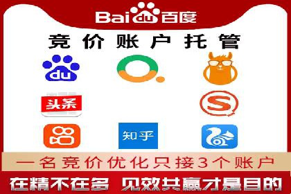 某行业sem代运营推广公司成功案例分析