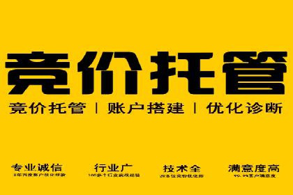 SEM服务公司助力企业转型案例